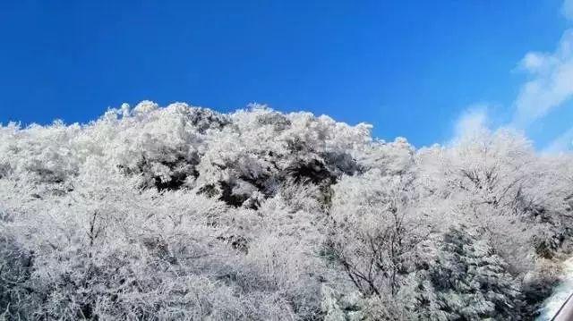 新能源汽车与传统汽车相比,有什么优点和缺点?-专业有问必答平台