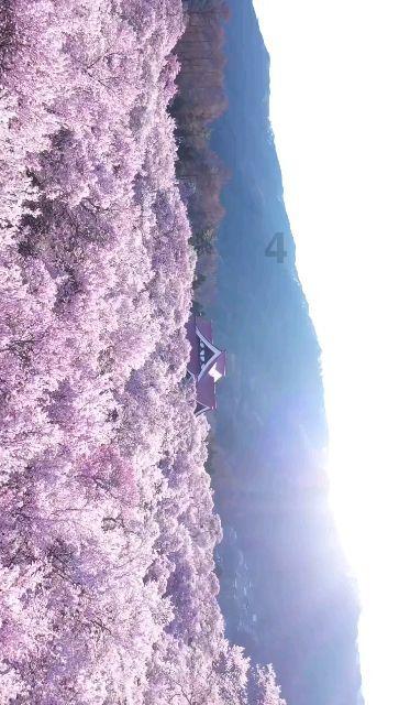冯小刚与张艺谋：渐退与猛进