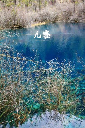 疯狂热气球大冒险