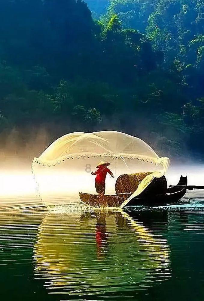 逃离金色蜜蜂森林