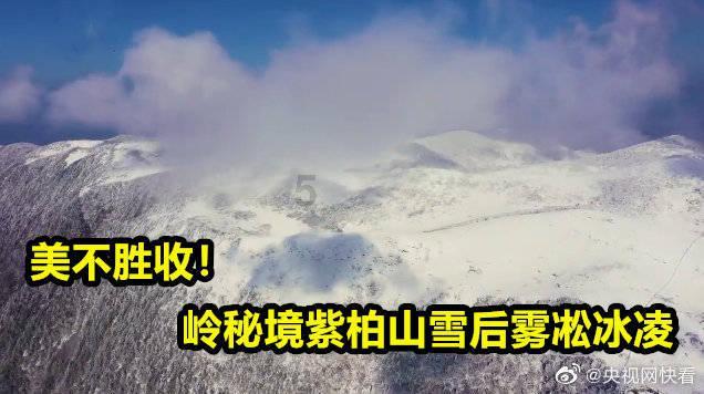 燃烧吧大脑免广告最新版