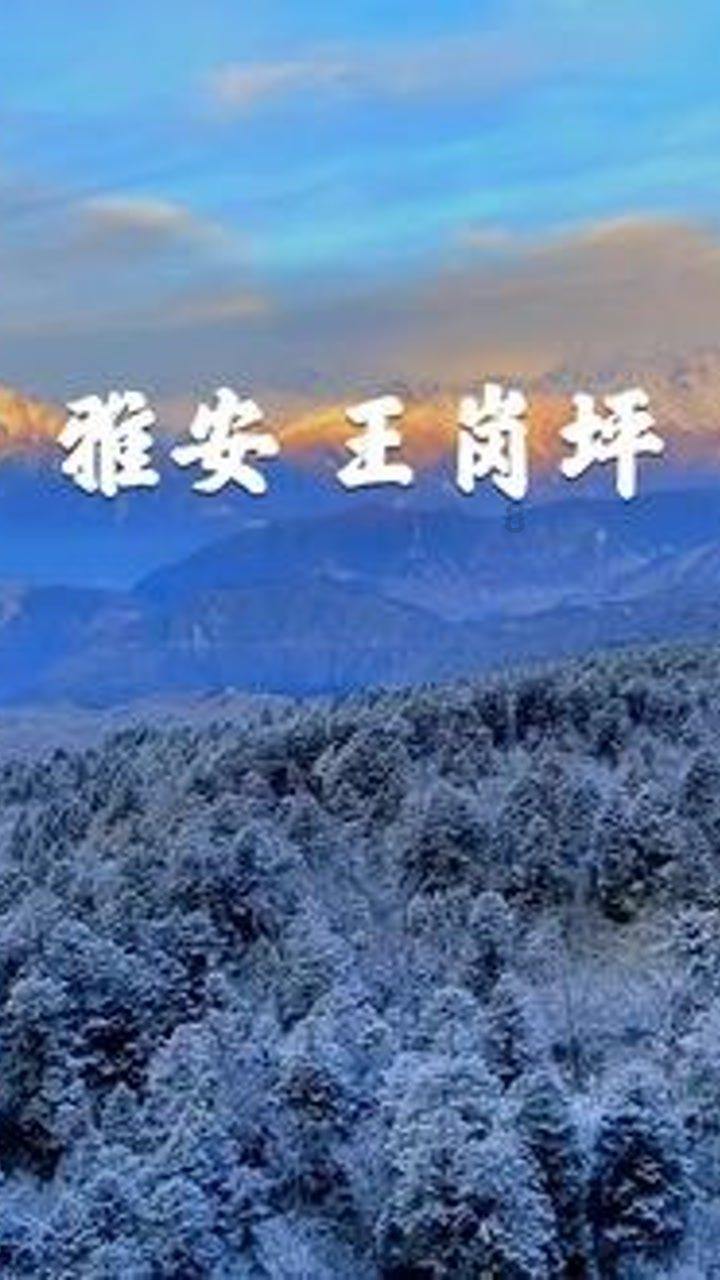 伏魔咒