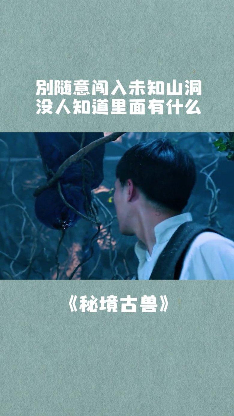 寻找萌宠松鼠