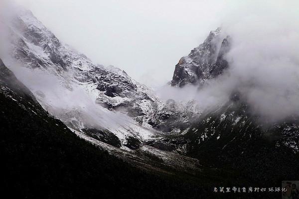 逃离未知丛林