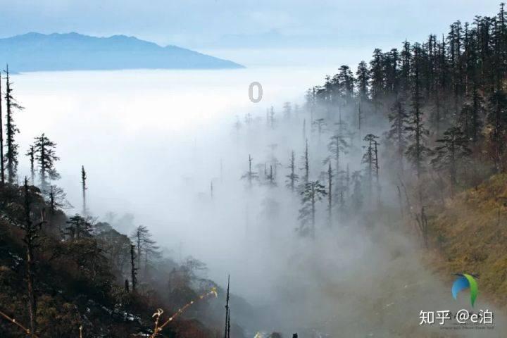 美国学者:中华文明是推动世界繁荣与进步的价值来源