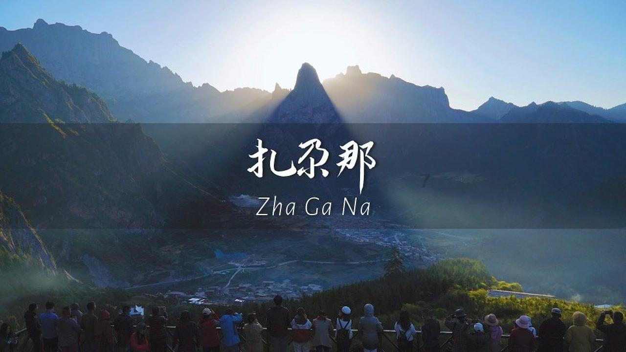 “今年合作社分红钱又多了”