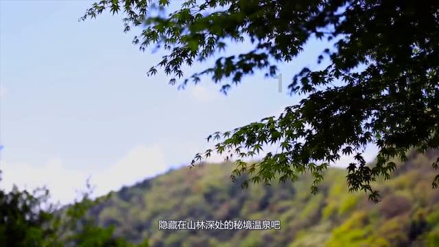 龙行江苏① | 龙在江苏留下多少行迹