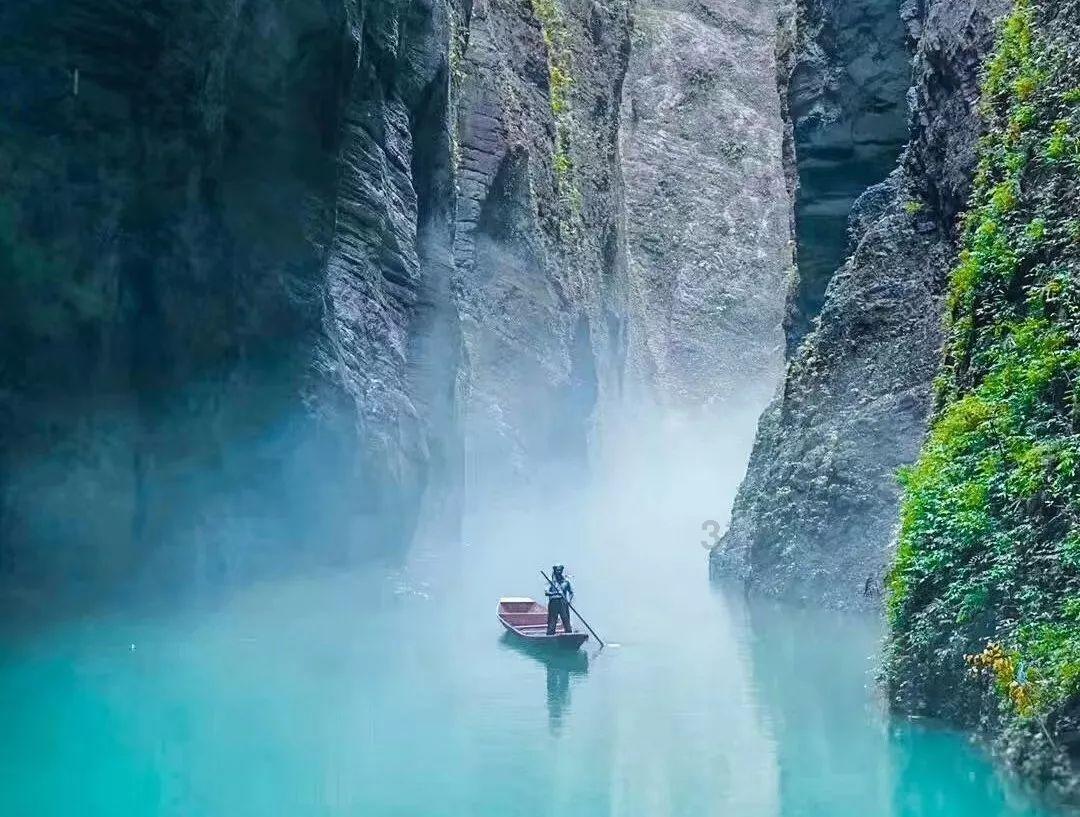尽享怎么做四喜丸子最好吃知识星球,开启你的学习旅程