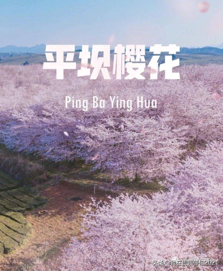 怎样才能提高年轻人的生育意愿?|连接有趣灵魂的知识星球