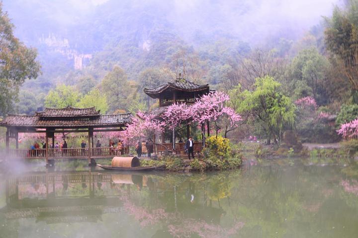 道奇蝰蛇找不同