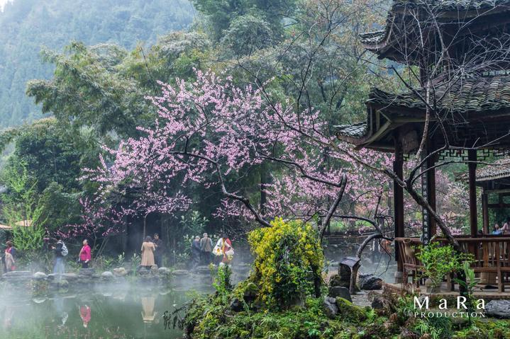 僵尸敲方块