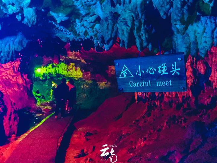 逗小猴开心系列199