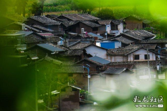 交流无忧-8名男生宿舍走廊穿古装走秀,该怎样看待这一做法呢?有问必答平台