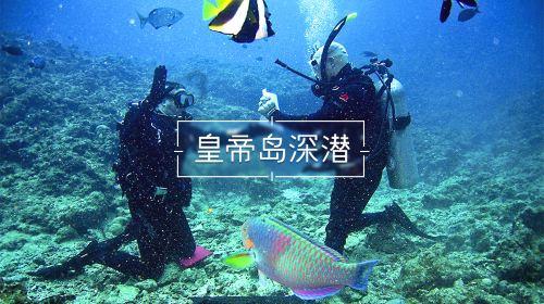 月光影视