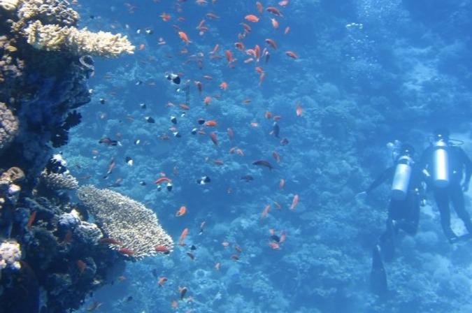 今日看点:霍芬海姆防守掉渣 海登海姆近况不俗