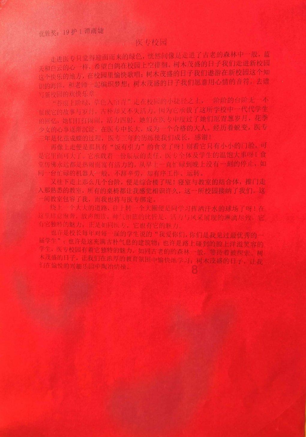 海贼王伟大冒险