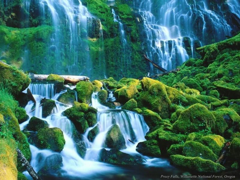 毛泽建与陈芬:革命结伉俪,双双洒碧血