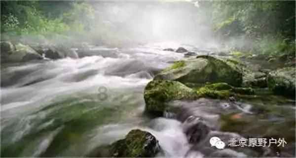 燃烧吧大脑免广告最新版