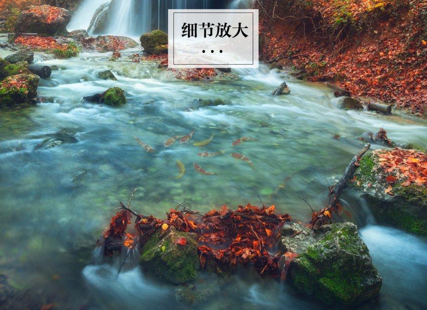 吸血鬼的谜语