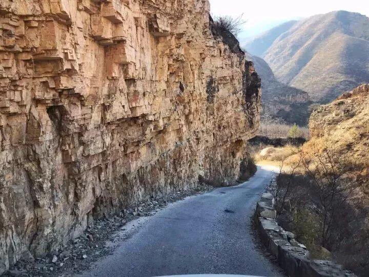 逃出猫头鹰岛