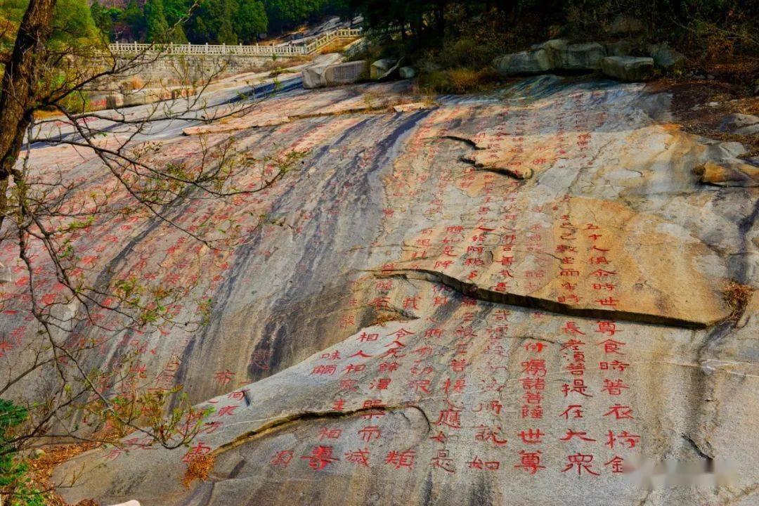 酷老师的教室