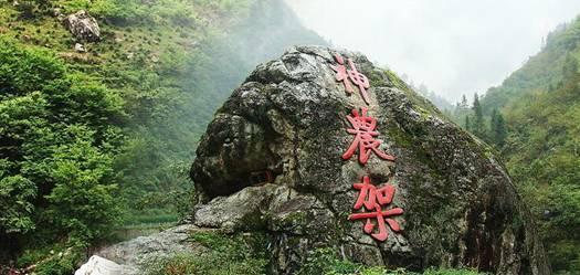 组装机械盔头龙2