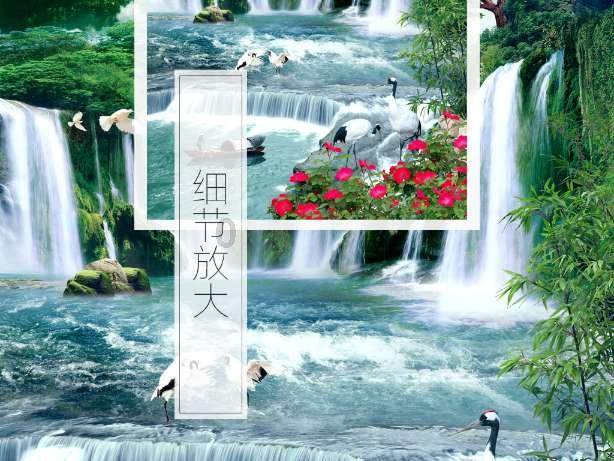 世纪之案