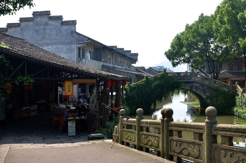 狐狸的旅程