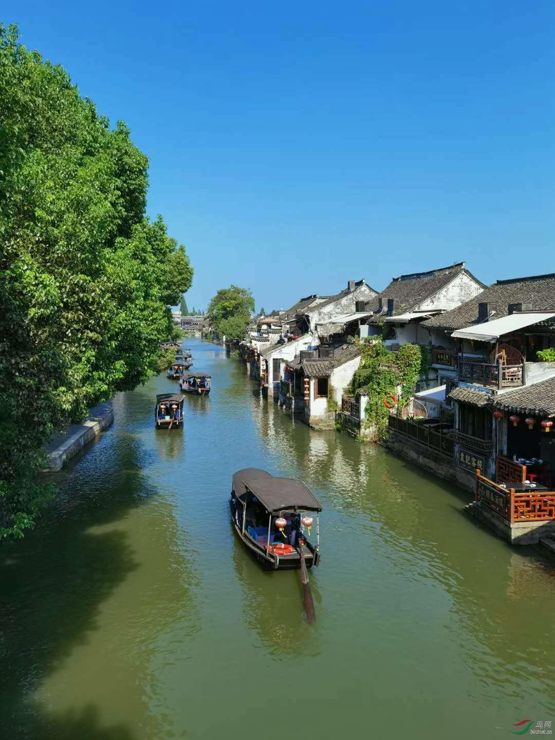 有什么事情是怀孕期间不能做的？游戏画面