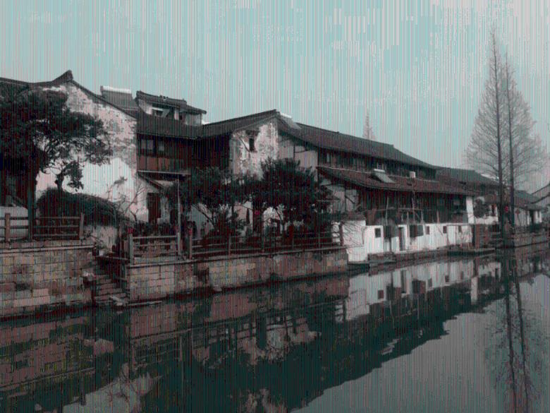 拯救机灵鸟