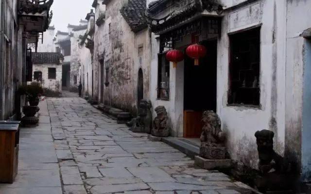 创建农业强镇 助推种业振兴