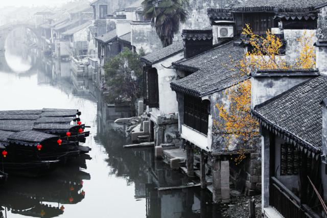 口袋森林世界杯防守战